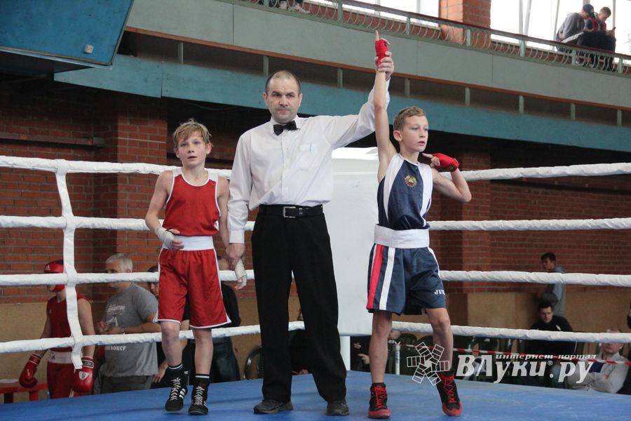 В Великих Луках прошел турнир по боксу памяти Е. Клевцова (ФОТО)