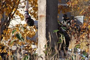 Пейнтбольная «Революция 2013»