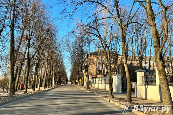 Завтра в Псковской области прогнозируют +19