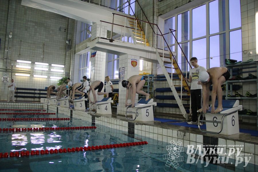 В Великих Луках прошло Первенство по плаванию (фото)