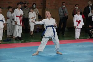 Открытый Кубок города Великие Луки по каратэ WKF (ФОТО)