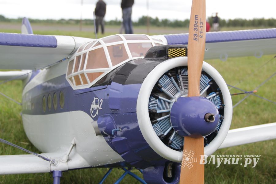 Чемпионат России по авиамодельному спорту в Великих Луках (ФОТО)
