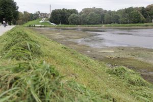 Куда утекла Ловать (ФОТО)