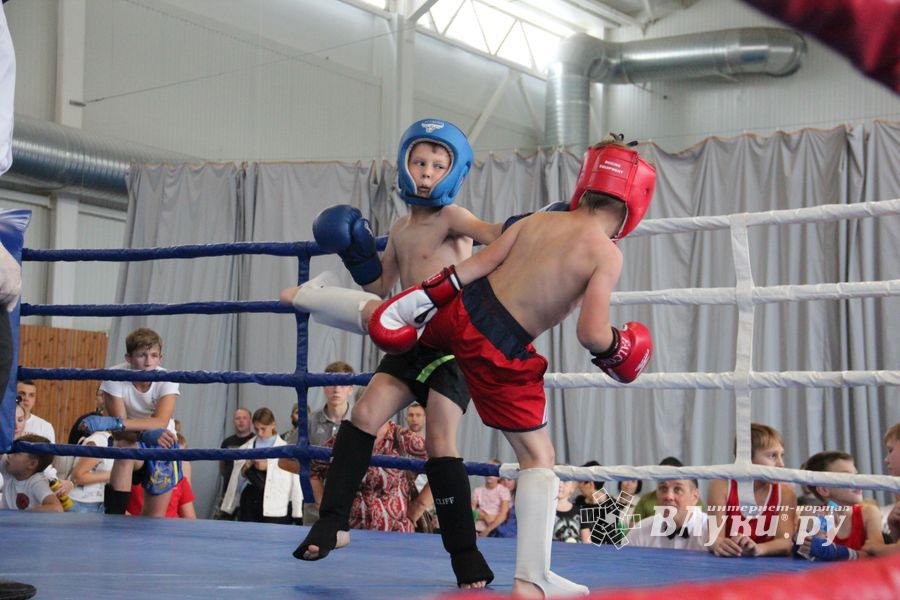 1-й Фестиваль боевых искусств состоялся в Великих Луках  (ФОТО)