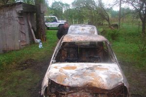 В Псковской области в сгоревшей машине найдено тело владельца (фото)