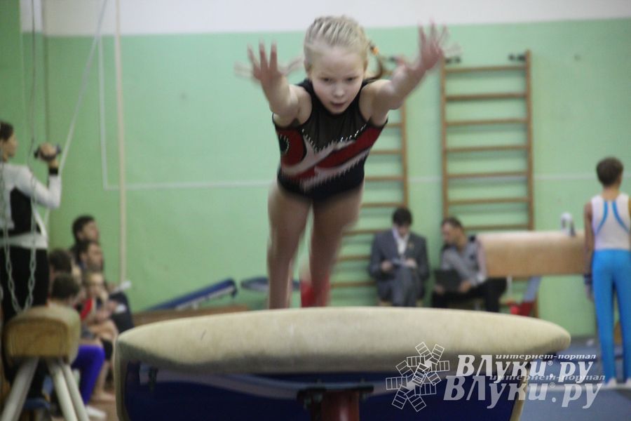 В Великих Луках состоялось Первенство города по спортивной гимнастике (фото)