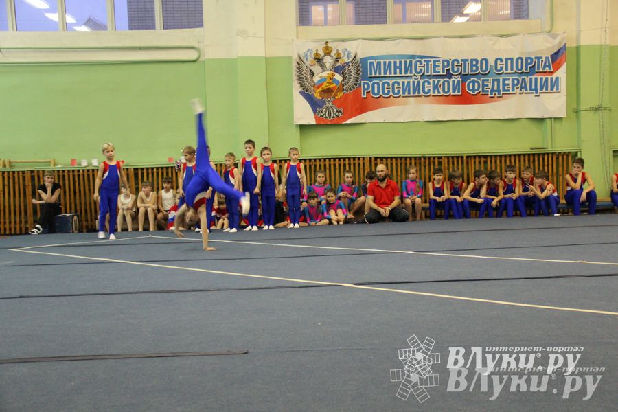 В Великих Луках состоялось Первенство по командной гимнастике (фото)