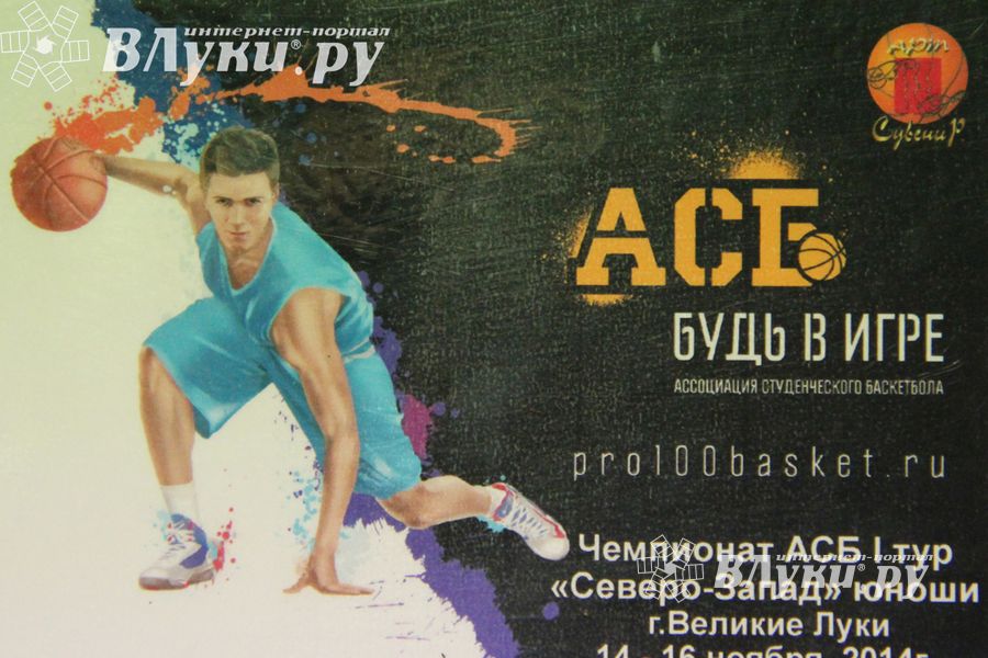 В Великих Луках проходят игры Чемпионата АСБ (фото)