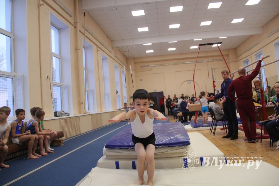 В ДЮСШ «Атлетика» прошли соревнования по спортивной гимнастике (ФОТО)