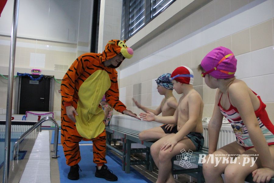Соревнования по плаванию на призы Деда Мороза прошли в Великих Луках (ФОТО)