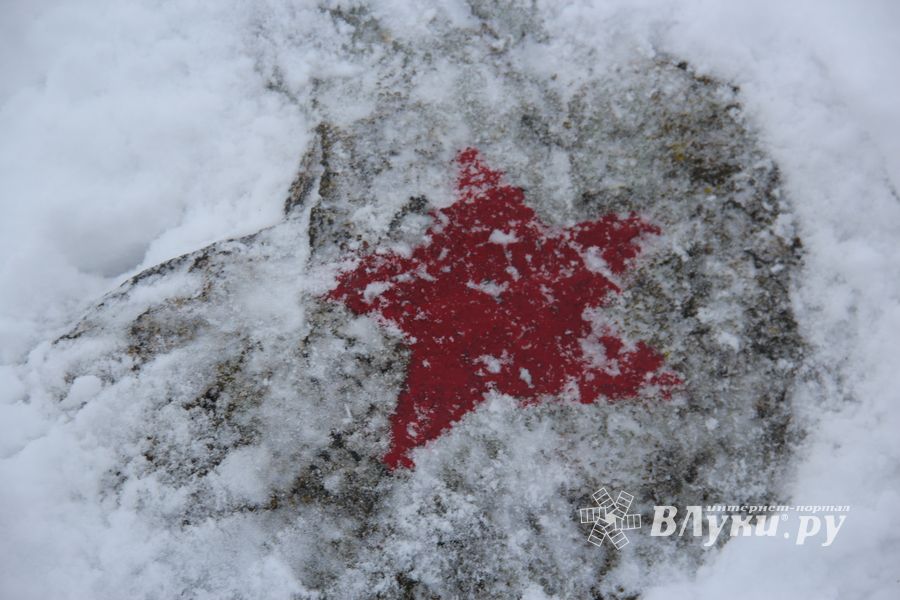 Никто не забыт: в Великих Луках благоустроили могилу неизвестного солдата (ФОТО)