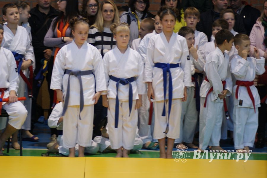 В Великих Луках прошли соревнования по каратэ (ФОТО)