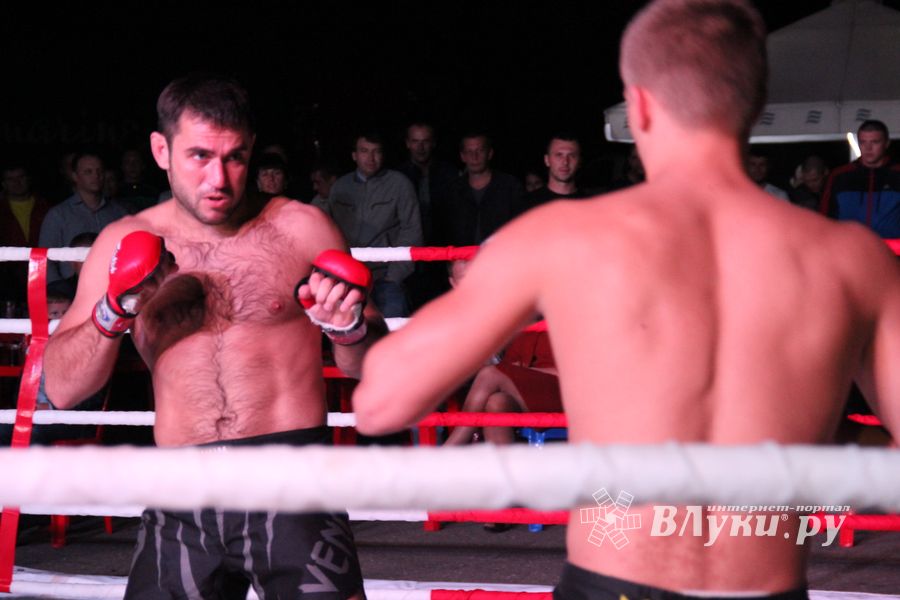 В Великих Луках прошли бои по смешанным боевым единоборствам ММА (фото)