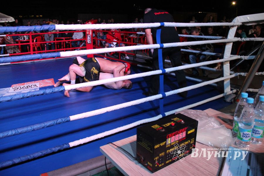 В Великих Луках прошли бои по смешанным боевым единоборствам ММА (фото)