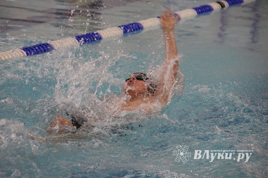 В Великолукском Айсберге прошли соревнования по плаванию на призы Деда Мороза (ФОТО)