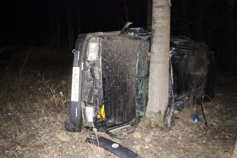 2 человека погибли, 3 пострадали в ДТП в Псковской области (фото)