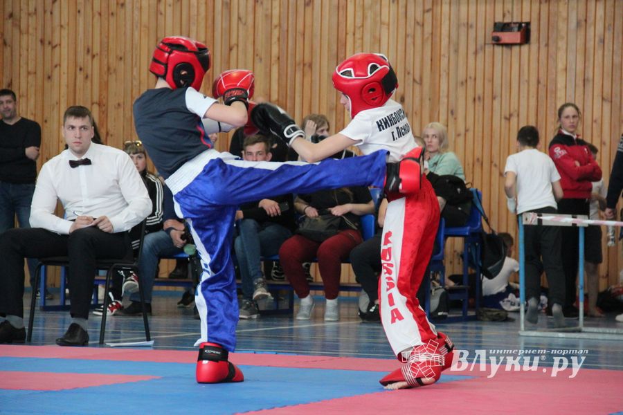 В Великих Луках проходит Кубок по кикбоксингу (ФОТО) (0+)