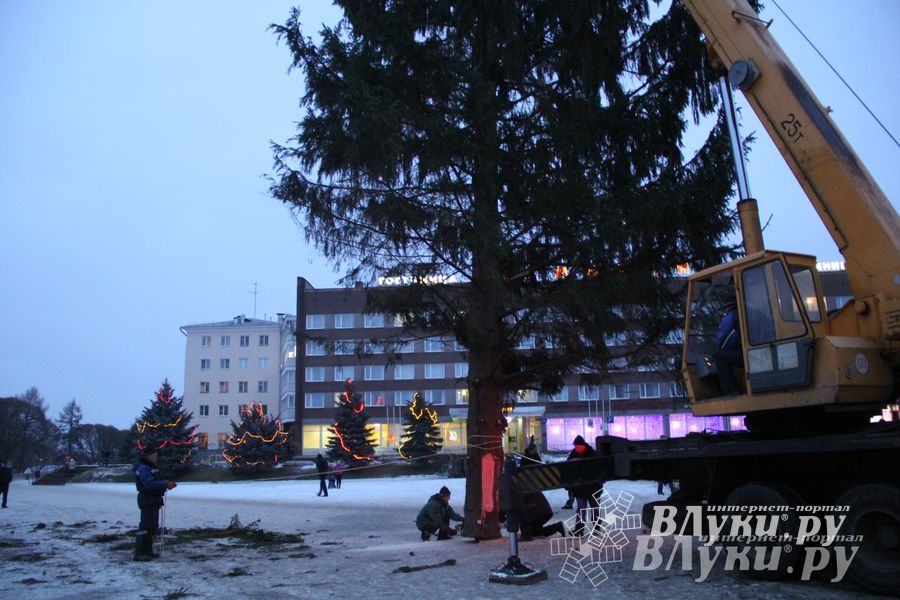 В Великих Луках установили новогоднюю елку (фото)