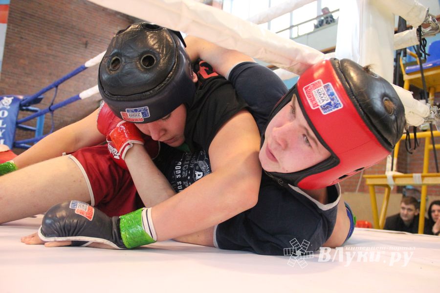 В Великих Луках прошел международный открытый Кубок по смешанному боевому единоборству (ФОТО) (16+)