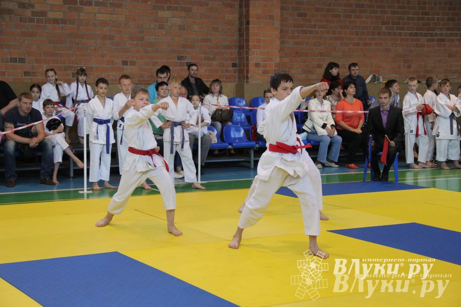 Великолучане стали победителями турнира по каратэ «Неприкосновенный запас, дети — Отчизны 2015» (фото)
