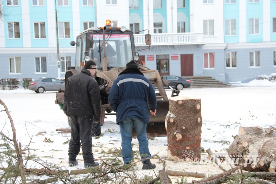 Главная городская ёлка отправилась на свалку (ФОТО)