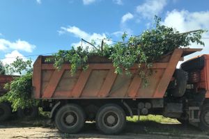Дачников Великих лук порадовали районные дорожник (ФОТО)