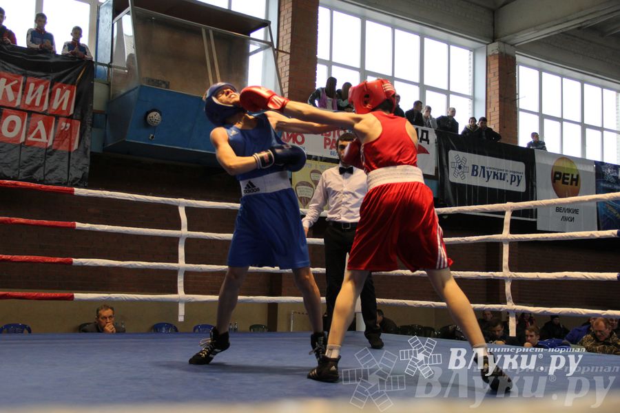 16-й Международный турнир по боксу (фото)