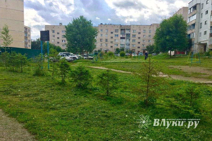 Великолучан беспокоит озеро во дворе дома (ФОТО)