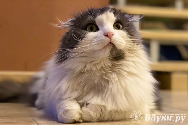 Похолодание прогнозируют в Псковской области после 5 апреля