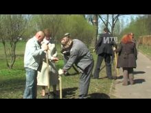 Импульс-ТВ: Аллея на братском кладбище