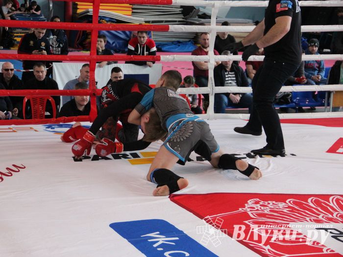 Открытый кубок по смешанному боевому единоборству ММА прошел в Великих Луках (ФОТО)