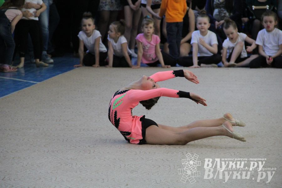 В Великих Луках прошло Первенство по художественной гимнастике (фото)