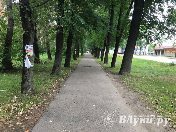 «Прибинтовали» скотчем (ФОТО)