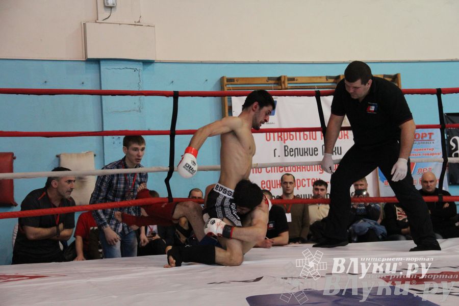 Открытый Кубок города Великие Луки по смешанному боевому единоборству (ММА)