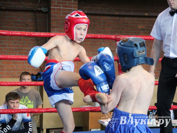 В Великих Луках прошли соревнования по кикбоксингу (ФОТО)