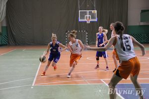 В Великих Луках состоялась игра в рамках Чемпионата АСБ (фото)