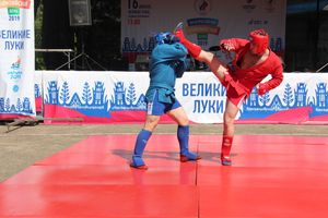 В Великих Луках прошёл Олимпийский День (ФОТО)