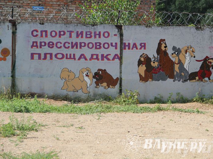 День открытых дверей на спортивно-дрессировочной площадке