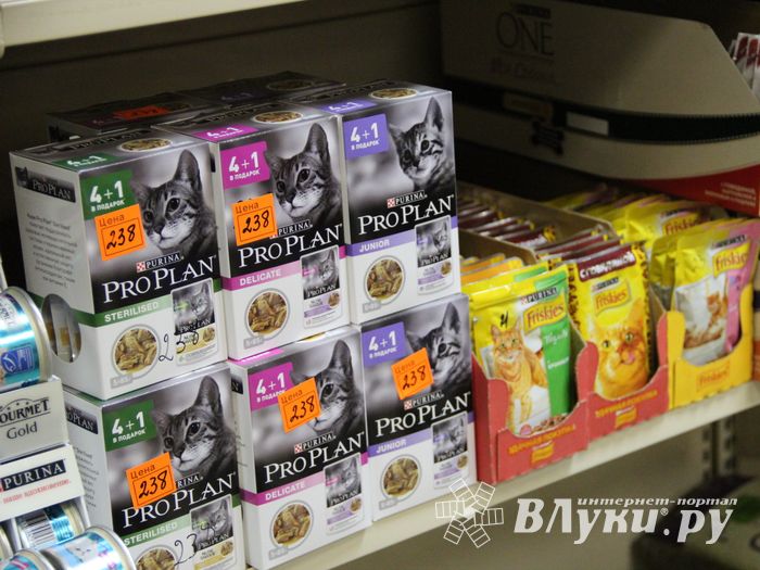 «Zooбастики»: подарите праздник своим любимцам! (ФОТО+ВИДЕО)