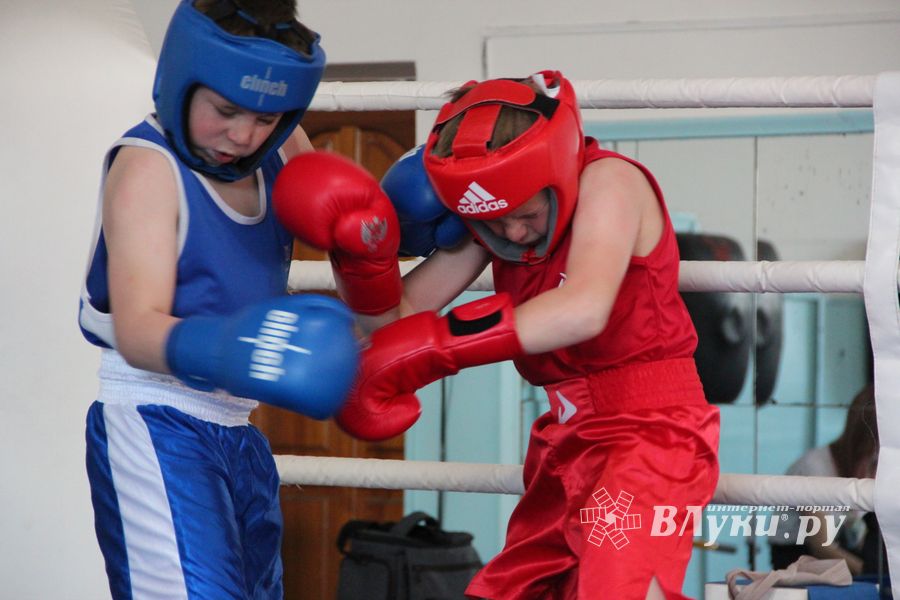 В Великих Луках завершился открытый турнир по боксу (ФОТО)