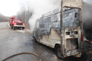 В Псковской области сгорел микроавтобус (фото)
