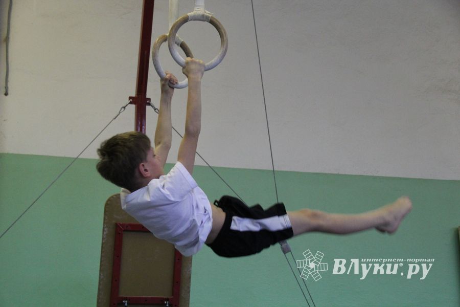 В Великих Луках прошло Первенство города по спортивной гимнастике (фото)