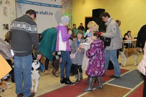 Всероссийская выставка собак в Великих Луках (фото)