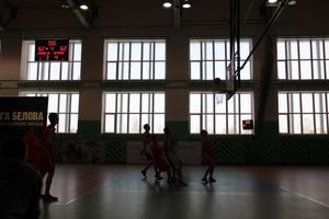 Великолучанки сыграют в региональном финале Чемпионата ШБЛ «КЭС-БАСКЕТ» (6+) (ФОТО)