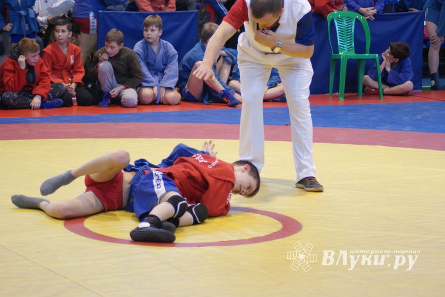 Великолучане завоевали призовые места на турнире по самбо «Память» (ФОТО)
