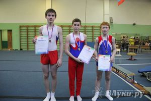 В Великих Луках состоялось  Первенство города по спортивной гимнастике (фото)