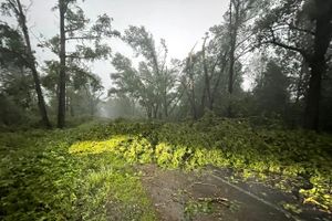 Весь ужас вчерашнего урагана в Великих Луках и районе (ФОТО, ВИДЕО)