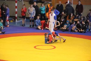 В Великих Луках прошел турнир по самбо "Память" (фото)