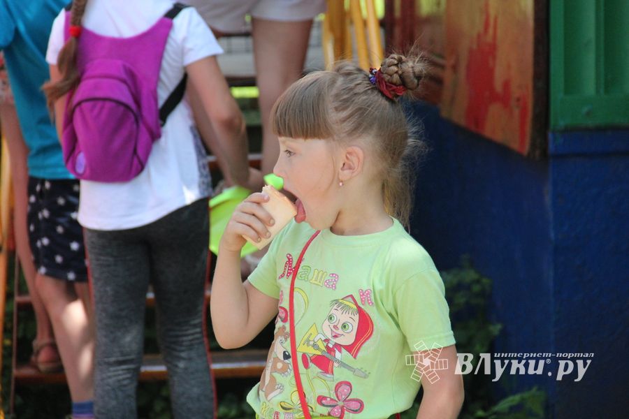 В городском парке Великих Лук прошёл День мороженого