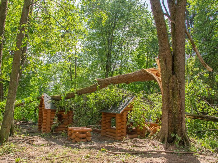 Небезразличные великолучане помогают убрать город после урагана (ФОТО)